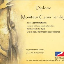 moniteur