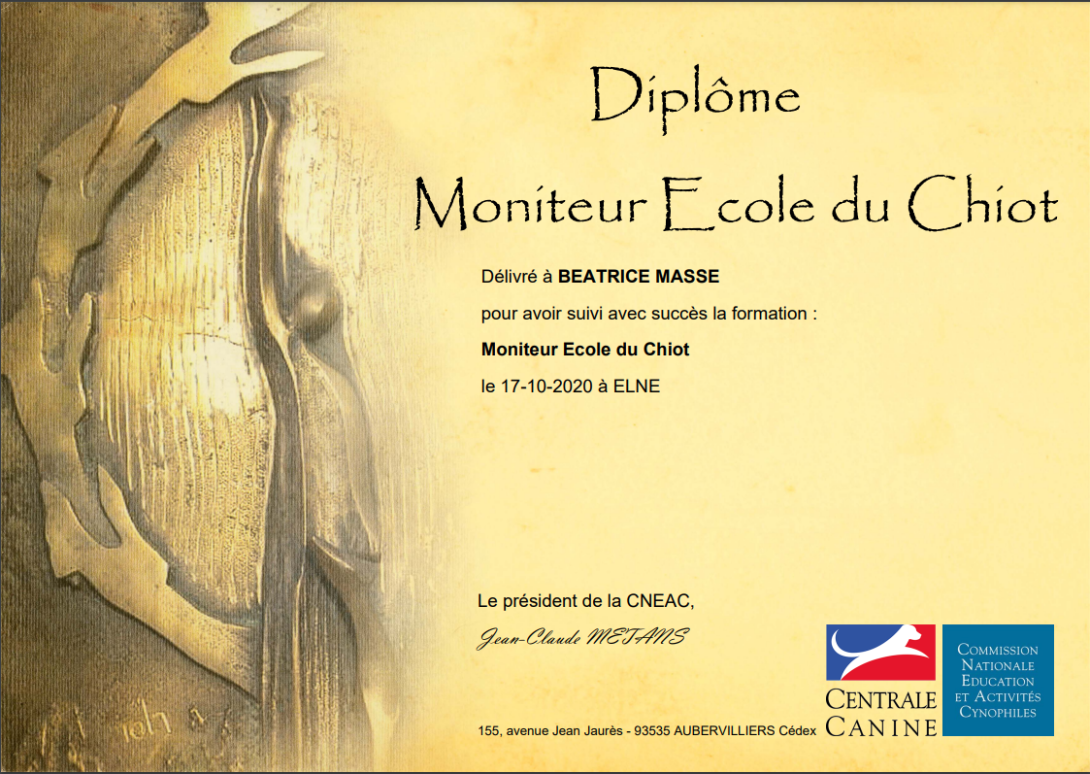 ecole chiot